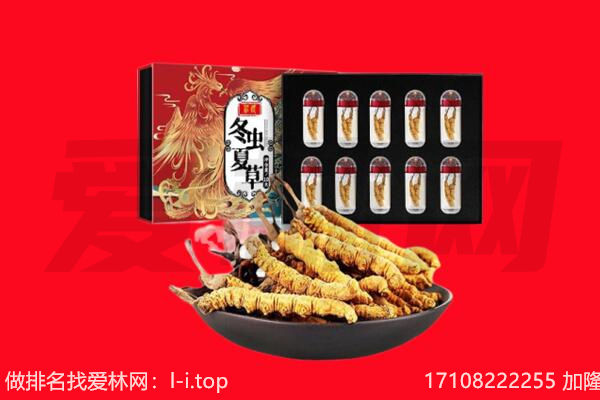积石山县回收虫草.jpg